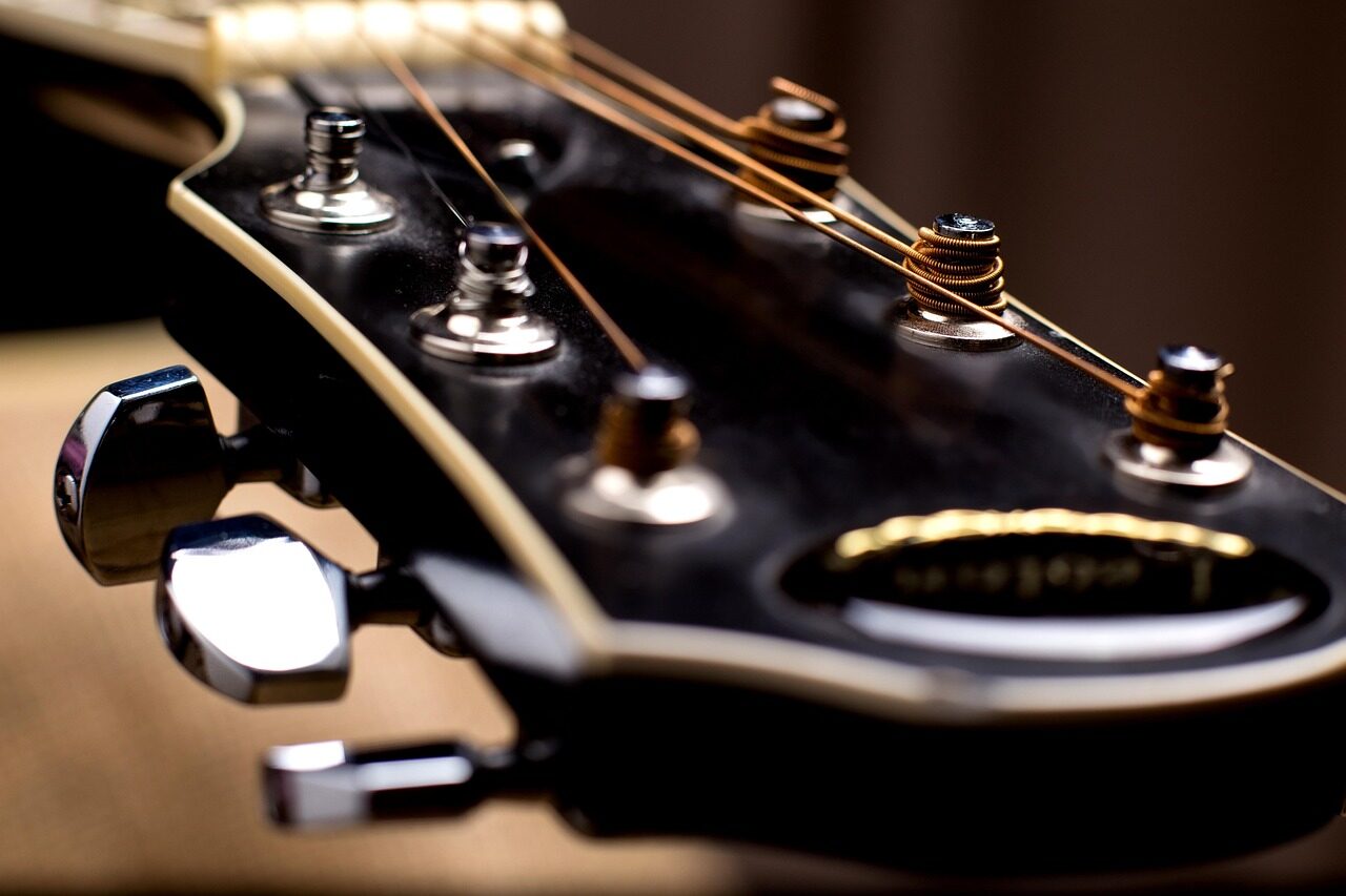 guitar, vulture, strings, large, blur, guitar neck, musical instrument, guitar, guitar, guitar, guitar neck, guitar neck, guitar neck, guitar neck, guitar neck